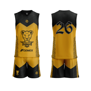 CHESHIRE ROAR - PLAYING KIT - KIDS