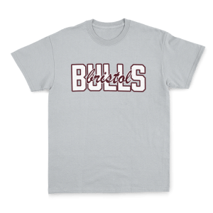BRISTOL BULLS - SUPPORTERS TEE - GREY - DESIGN 2